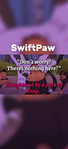 Pause to read :3 How warriors died and there last words #warriorcats #warriors #swiftpaw #hollyleaf