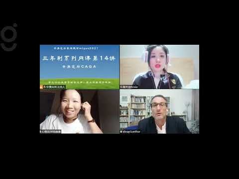 Demo session 20 【直播】第14讲：个案督导咨询师：康康）