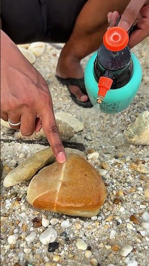 “Hidden Crystal Treasure Found Inside a Geode ✨”