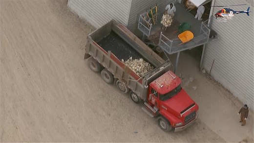 2.7 million dead chickens: News Chopper 12 captured video Tuesday of crews at Coldspring Egg Farm in Palmyra disposing of the bodies of millions of chickens destroyed due to a bird flu outbreak. Viewer discretion advised. (No audio) | WISN 12 NEWS