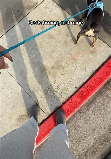 cookingwithmonicaaa (@cookingwithmonicaaa)’s video of god's timing