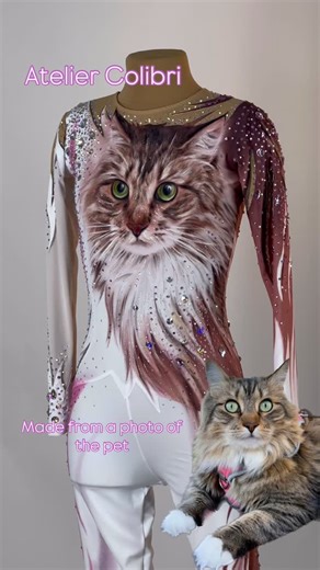Rhythmic gymnastics leotards🇺🇦 on Instagram: "✨ A unique costume with a one-of-a-kind story ✨ This look is inspired by our client’s beloved pet — her enchanting kitty 🐾💗 We transferred the features of her fluffy friend directly into the design, so he’s always with her, even on stage. Every detail, every crystal, and every shade isn’t just decoration — it’s a piece of love 🐱✨ How do you like such a personalized approach? 😍 #cat #lover #leotard"