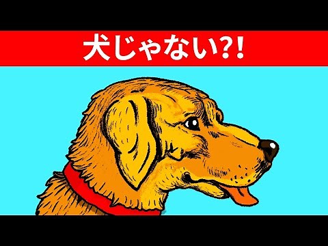 視覚を惑わす錯視11選