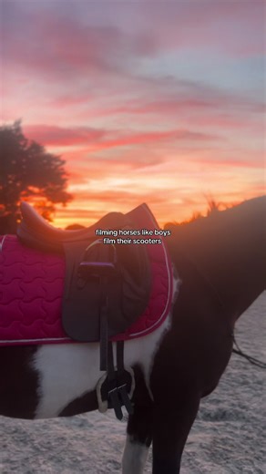 Filming Horses Like Boys Film Their Scooters