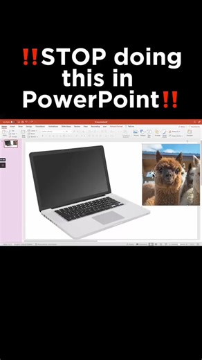 35K views · 738 reactions | How to perfectly insert an image on your screen? #PowerPoint #Powerpointtips #powerpointforbeginners #powerpointtutorial #PowerPointTrick | Powerpoint Tutorials | Facebook