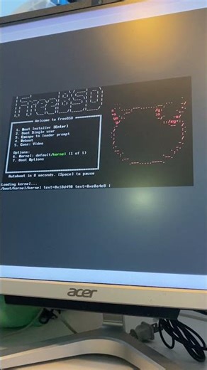 Force shutdown and setup installation on FreeBSD