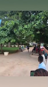 World Record Belly Flop 😬 | Chad Alan Jones