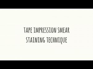 Tape impression cytology staining procedure | Diff quick stain