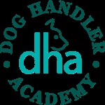 Training for dog daycare employees - Dog Handler Academy