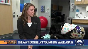 6.2K views · 169 reactions | We are proud of the work our facility...