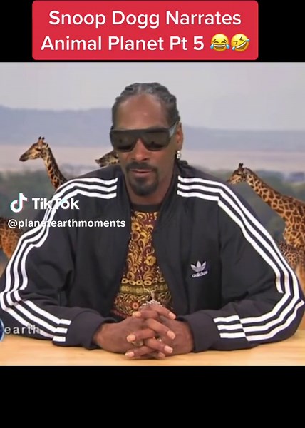 Hilarious Seal VS Walrus Standoff with Snoop Dogg Commentary