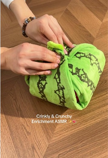 Crinkly and Crunchy Dog Enrichment ASMR Experience