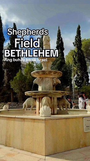 Shepherds’ Field is a peaceful area near Bethlehem traditionally recognized as the place where angels announced the birth of Jesus to the shepherds #bethlehem #Israel #LandOfTheBible #fruitfuland #holyland | Ang buhay ko sa Israel