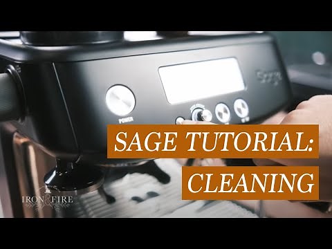 Sage Barista Pro Cleaning Tutorial / A step-by-step guide on how to clean your Sage coffee machine.