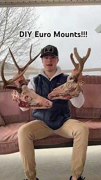 How To Make A Euro Mount (The Easy Way) 🦌💀 #taxidermy #hunting #deer #skullcleaning