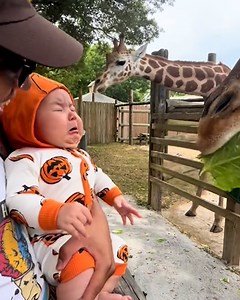 Hey! That's his lettuce! 😆 | Furry Tails