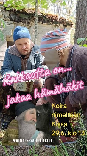 #kesäteatteri #tekemistälapsille #puotila #puotilankartano #puotilankesäteatteri #lastennäytelmä #koiranimeltäänkissa #tomikontio
