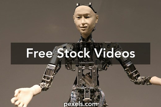 AI Videos, Download The BEST Free 4k Stock Video Footage & AI HD Video Clips