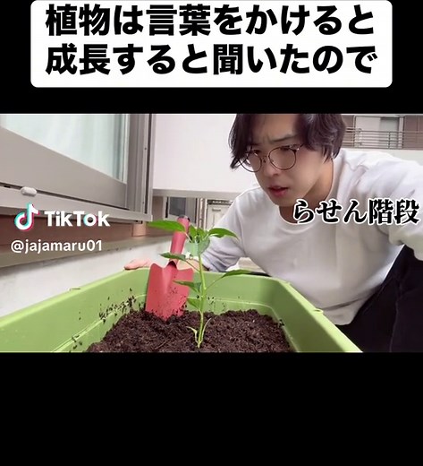 螺旋階段とカブトムシの廃墟探訪