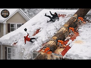 Idiots With Chainsaws: Tree Cutting Fails | Extreme Dangerous Logging Truck Fails #19