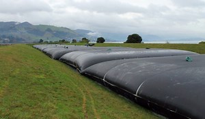 [Hot Item] Sludge Dewatering Bags Geotextile Dewatering Tube with Best Price