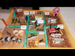 Crop modelling in agriculture/crop production and management class 8crop