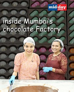 #watch: Be warned, chocolate lovers! If you love chocolates, this video might leave you with serious chocolate cravings. In the first episode of Midday’s series ‘The Inside Access’, we bring to you the fascinating process of chocolate making through an exclusive access to a chocolate factory in Mumbai. Diem Chocolates and Confectionary is known to offer a range of premium handcrafted couverture chocolates. This World Chocolate Day 2023, delve into this world of chocolates with a visit inside Die