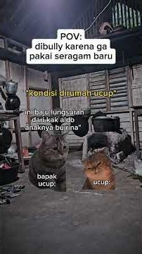 STOP BULLYING ✋️ #memekucing #kisahsedih #fyp #stopbulling