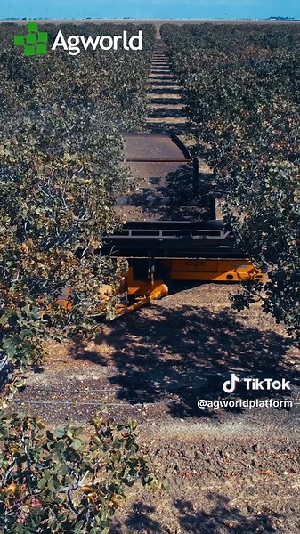 Reporte de rendimiento agrícola: Respuestas al instante