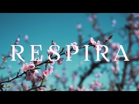 Música Relajante para Aliviar Estrés y Ansiedad 🌸 Calma Profunda