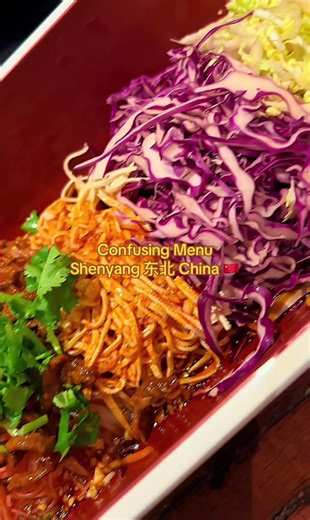 Confusing Menu @ Shenyang 东北 China 🇨🇳 #f #fy #fyp #food #funny #foryou #fypage #fypシ゚viral #foryoupage #viralvideos #viraltiktok #viral_video #viralvideo