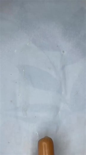 59K views · 1.2K reactions | Easy cooking life hack adam rose Reaction . . . #easyhacks #diyhacks #adamrose #fblifestyle #viral #trend #lifehacks #usa #uk | Smart Adam Fan | Facebook