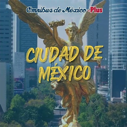 Does the excitement for the big game start the moment you board the bus? With Omnibus de México, ...