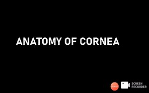 Anatomy of Cornea made easy - 角膜解剖