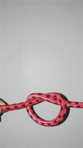 Overhand Knot Tutorial #usedailylife #knot #overhand #howtotie