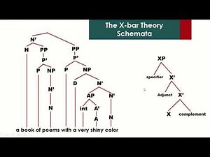 The X Bar Theory