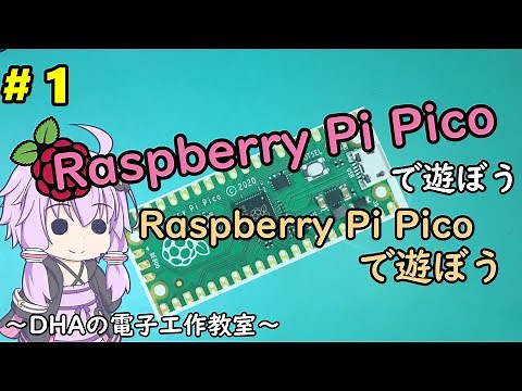 #1 Raspberry Pi Picoで遊ぼう ～DHAの電子工作教室～【Raspberry Pi Pico】