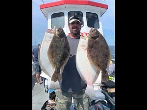 Party Boat Fluke Fishing and the Science Behind Gulp Explained!