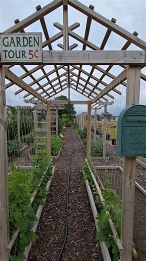 Tunnel garden ideas - garden trellis #gardentips #trellis #gardeningforbeginners #squash #cucumber #garden | Kabsat