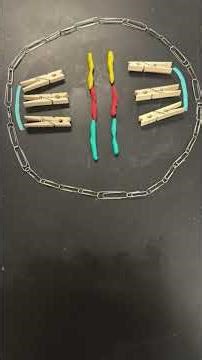 Cell Cycle Stop Motion by Mrs. Crowe
