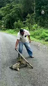 1.8M views · 1K reactions | Not all heroes wear capes but these awesome people still go above in beyond to help an animal in need! ﻿﻿﻿ | People Are Awesome | Facebook