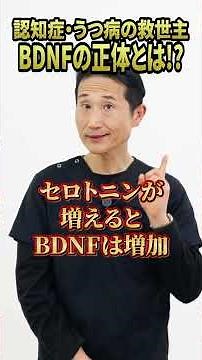 脳を若返らせる秘密の物質って何？