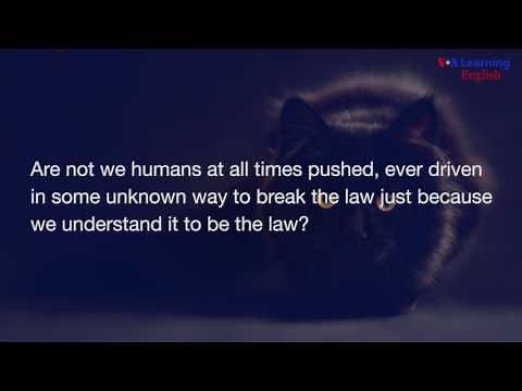 The Black Cat by Edgar Allan Poe