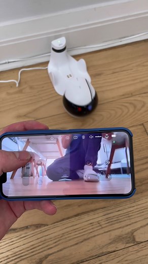 Cute or creepy? #Enabot #EBO #EBOAir @Enabot | Enabot Pet Camera