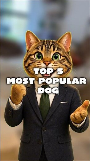 These 5 Dog Breeds Rule the World 🌎 (2026 Rankings) Part.1 #dog #dogbreed #ranking