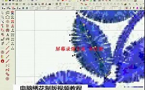 wilcom9.0绣花软件（制版-教程-威尔克）姆9.0视频教程_1