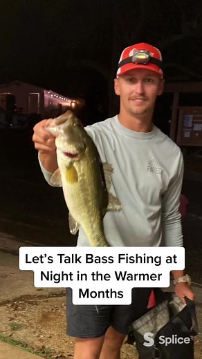 Night Bass Fishing Strategies and Tips