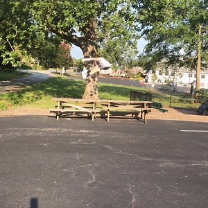 19K views · 219 reactions | Dude's got some serious hops.  (: Instagram/wesley_williams_) | theScore | Facebook