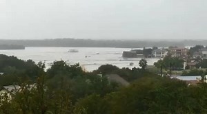 17K views · 54 reactions | WILD: Viewer Lynn Hoover sent this video...