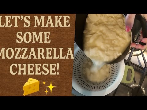 Let’s Make Some Mozzarella Cheese!” 🧀✨
